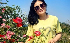 野花日本免费完整版高清版直播